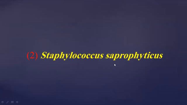 Clinical Significance Of S. Aureus Lac 10 Micro