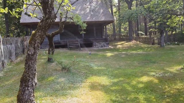 Латвийский этнографический музей под открытым небом! Рига @S_igorem