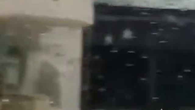 ОКЕАНАРИУМ. Подводное царство.