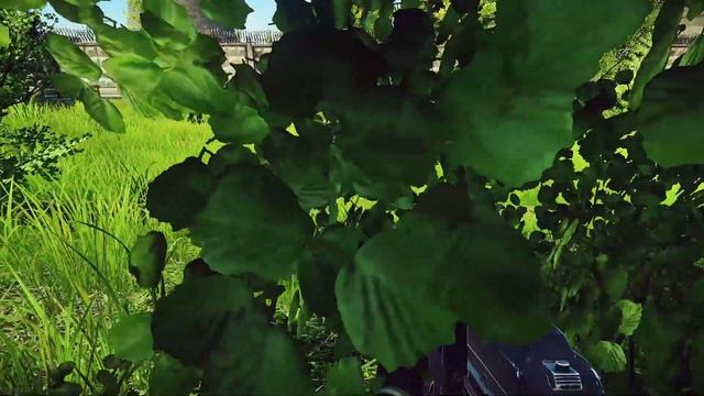 Must Have Been The Wind !