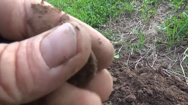 Летние полевые поиски старины 2016. Серебро есть!