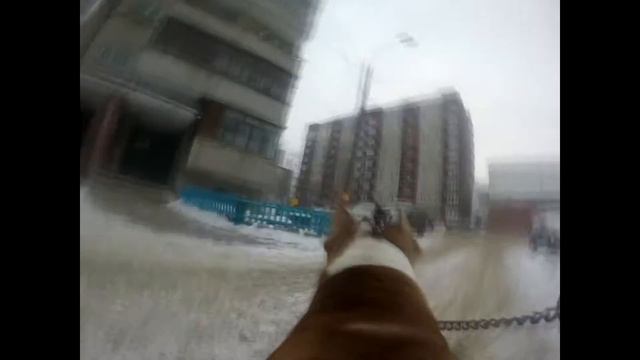 Тест шлейки для GoPro