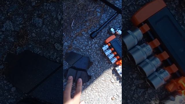 Дорожные каникулы