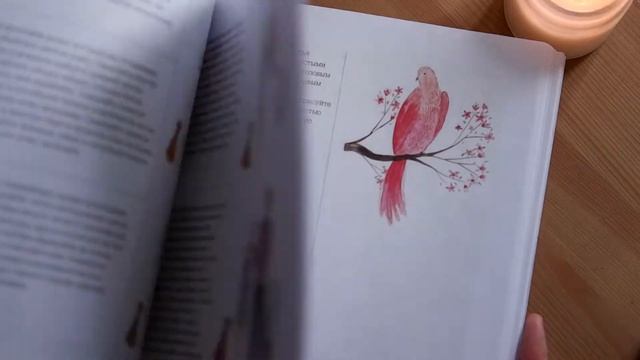 E675fe81a2538051436e2cacabb51d28