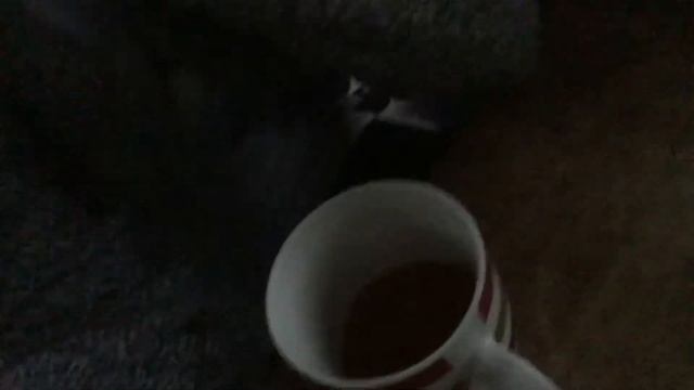 Декор комнаты к лету??/Красная луна?