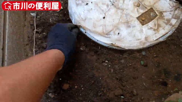 【雑草から芝を守れ】8000円/100分 作業ダイジェスト！セスジスズメ幼虫登場?　おまけ▶オススメ100均剪定バサミ、古物商免許ゲット(＾◇＾)　出張エリア：市川　各作業料一覧は概要欄をご覧下さい