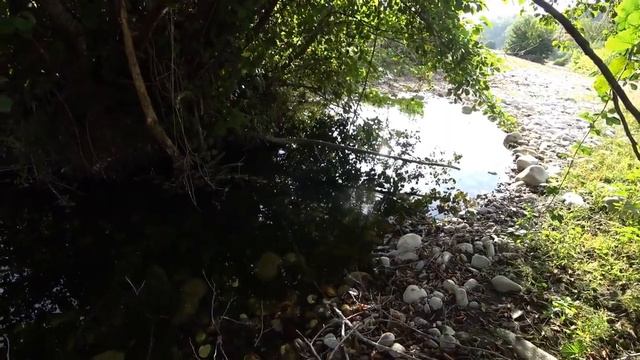 ГоловинкаРека ШахэГде вода?