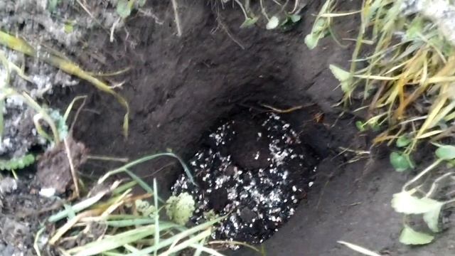 572b1f93e4a6f462f731aac348698777