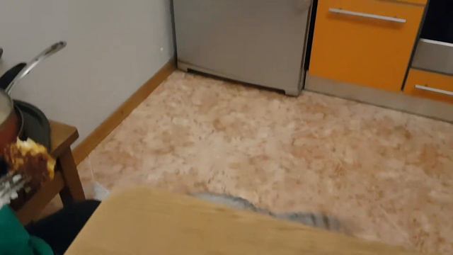 Кот воришка-🐱🐱🐱