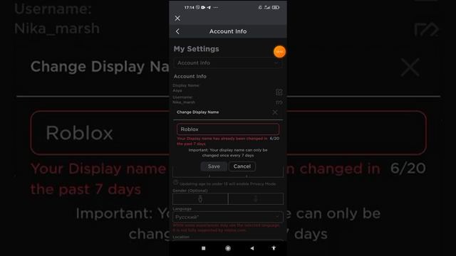 Геймплей на Грани Реальности