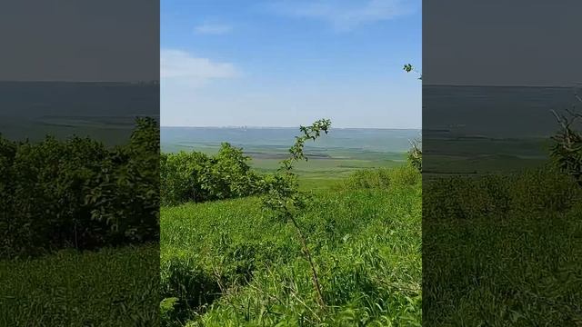 На Стрижамет ловить момент! Цветение черемши,пикник а сказочном лесу! Май 2021.