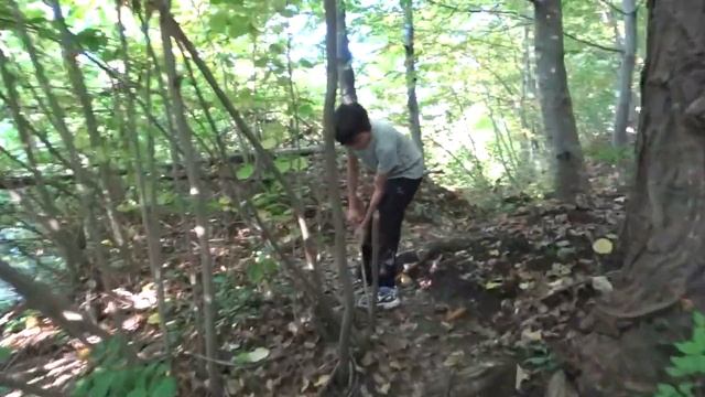 Долина аммонитов