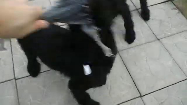 9fc40fbafa5f1a8a0996979f88db71b3