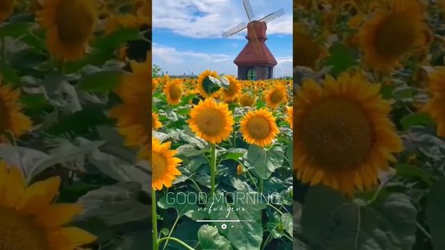 Доброе утро, новый день!?