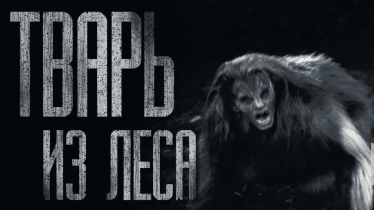TBAPЬ ИЗ ЛЕСА... Страшные истории на ночь. Scary Stories
