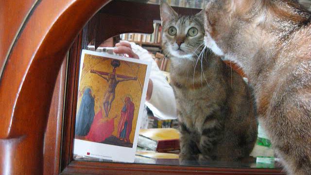 23a820077e3b8c83a1a218f3becd5df8