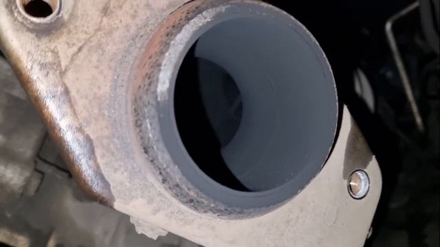 Жизнь в Красоте