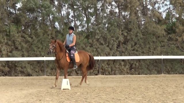 ВАУ! ЛОШАДИ, ПОНИ, ЕДИНОРОГИ НА НАСТОЯЩЕМ РАНЧО! УЗНАЙ ПЕРВЫМ, КАК ЭТО? ПРО ? - ШУТКА