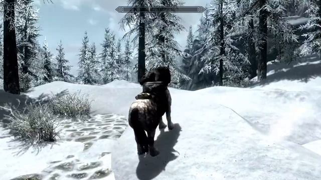 Skyrim (Blocked Path)