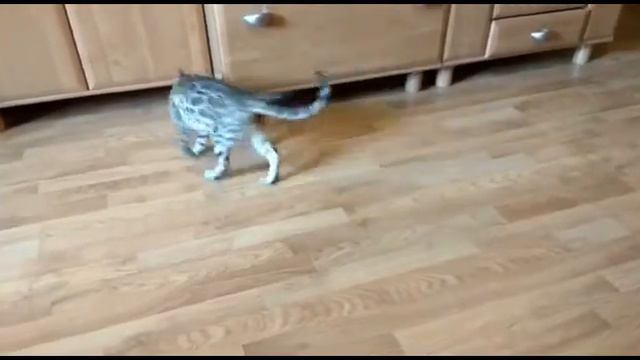 2d82a74e834792a47141015aa1544a56