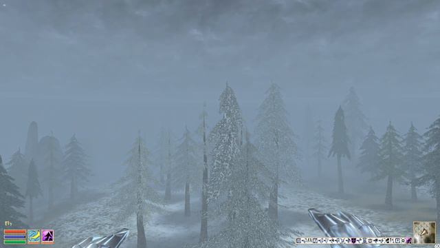 The Elder Scrolls III: Morrowind. Прохождение. Завершение обряда (часть 144)