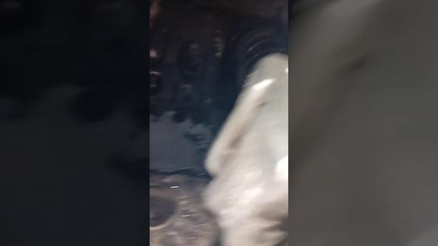 Ретро-ремонт