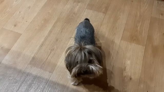 Семья из Мариуполя. Новости. #мариупольсегодня #мариупольсейчас