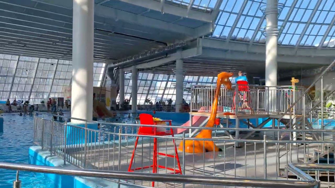 08a0d60fdbdf03de77e28a62cd6eee22