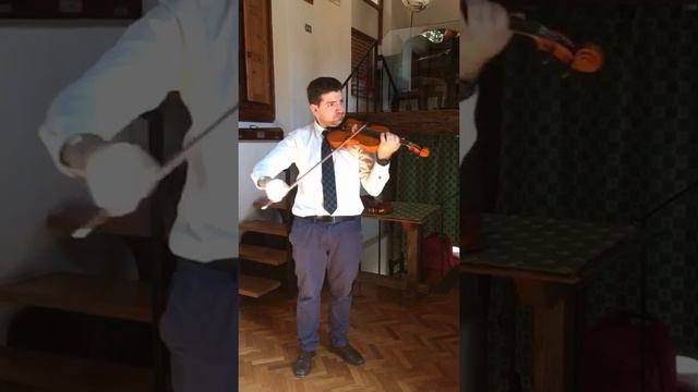 Paolo Vettori 1981 Italy Violin ~2