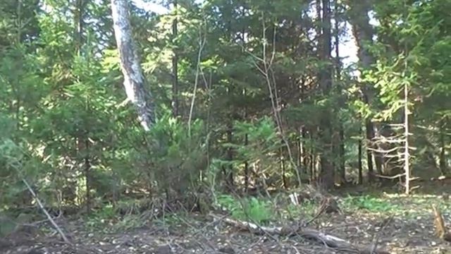 8b100d510787971b0176b64285dce8c2