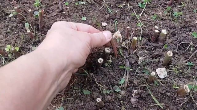 0c9396dd20efca576de78f3179f79970