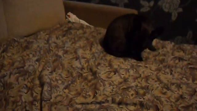 9399adc45d1b17f9c5c84fe561879097