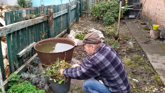 8ce8fe92a92deeeaf32579e2e4659b0c