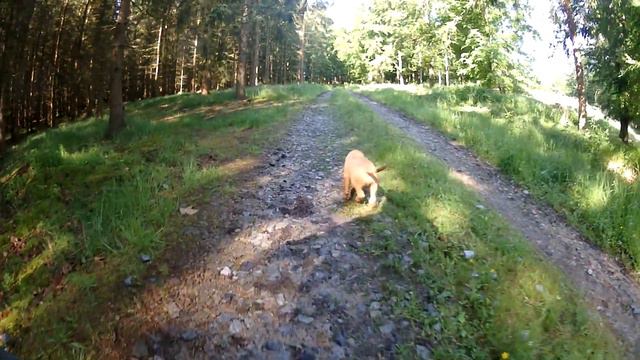 B42997a83eadf2887415afae5b332220