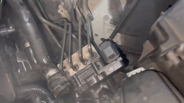 Домовой Искусство Жить Стильно