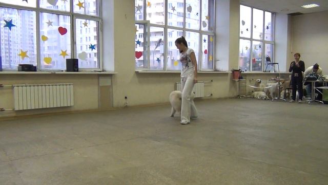 РРК-Осень 2013г. Фристайл-1