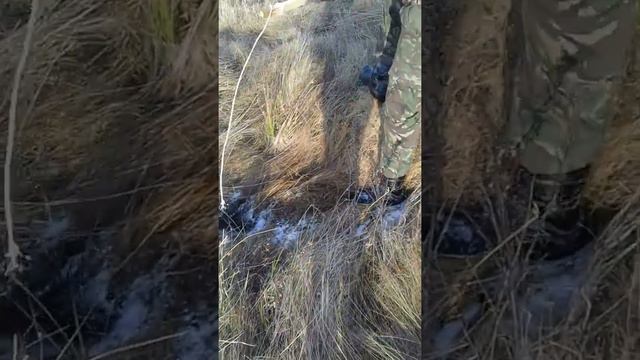 E8ecaf94da90e2f5949a239158f46a7e