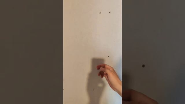 Уплотнительная лента Knauf