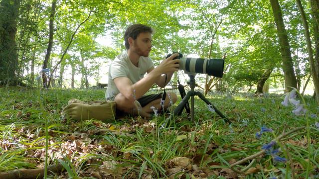 Bluebells In An Ancient Woodland || Macro With The Canon 7D & 100-400mm F4.5-5.6 IS USM MK II Lens.