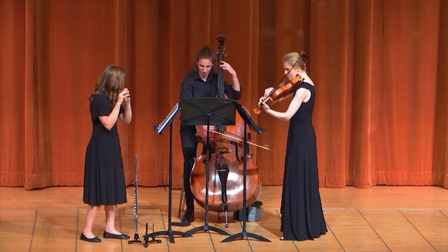 Erwin Schulhoff - Concertino For Flute, Viola, And Double Bass