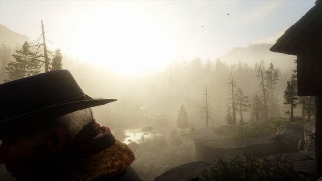 Red Dead Redemption 2 Graphic Downgrade Fix Patch 1.09