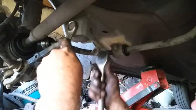 Цветочный оазис