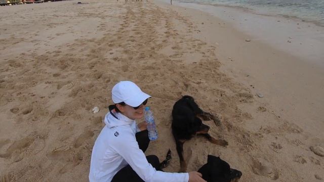 Балийские Ротвейлеры на пляже Баланган. Красиво гуляем по разным пляжам.