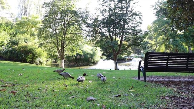 Slow Living » Learning To Slow Down In A Busy World