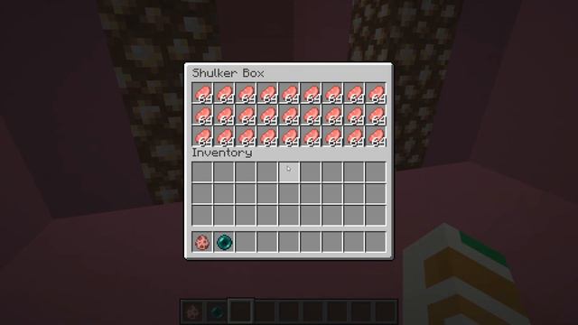 что находится внутри свиньи?