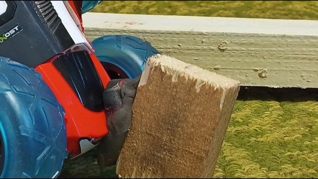 Карштест NISSAN SKYLINE GTR R 34 из пластилина! Испытание в масштабе!