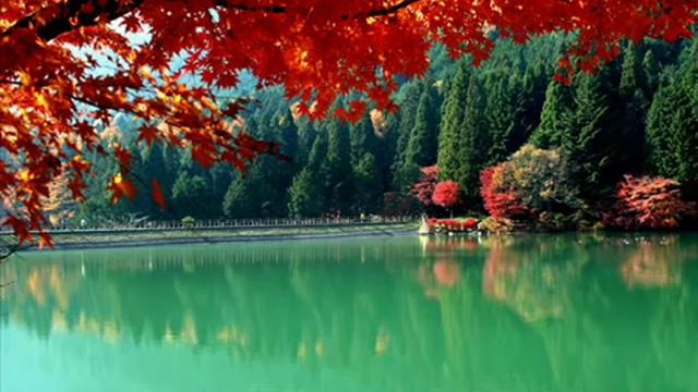 C5cc4a5c1623c2a527d53ed3beebca40