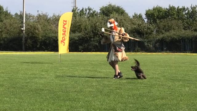 Шведченко Ангелина и спаниель Дэш