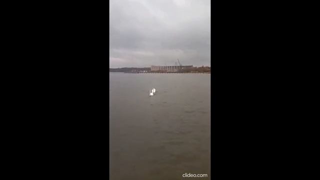 Торжественный выход 