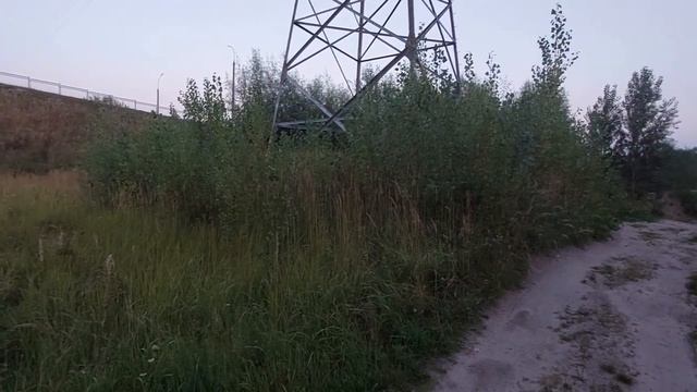 Обитатели луга. Экологическая тропа 